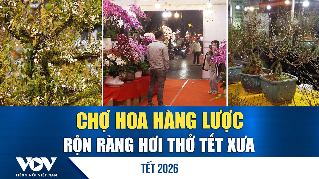 Tết xưa sống lại ở chợ hoa cổ nhất Hà Nội – Hàng Lược nhộn nhịp ngày giáp Tết | VOV