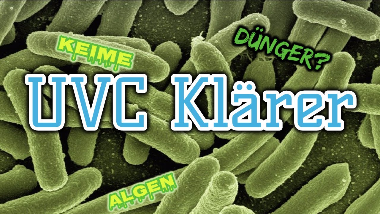 UV-Klärer gegen Algen und Keime | UV-Klärer und Dünger? | Aquarientechnik