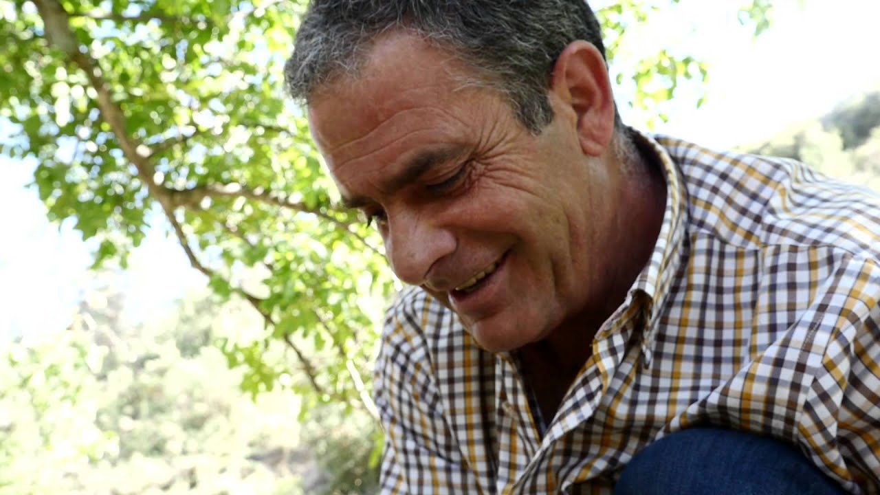 Tierras Vivas: Cerezas ecológicas 