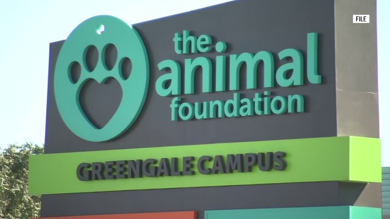 New supplemental Clark County animal shelter in design phase for southwest Las Vegas