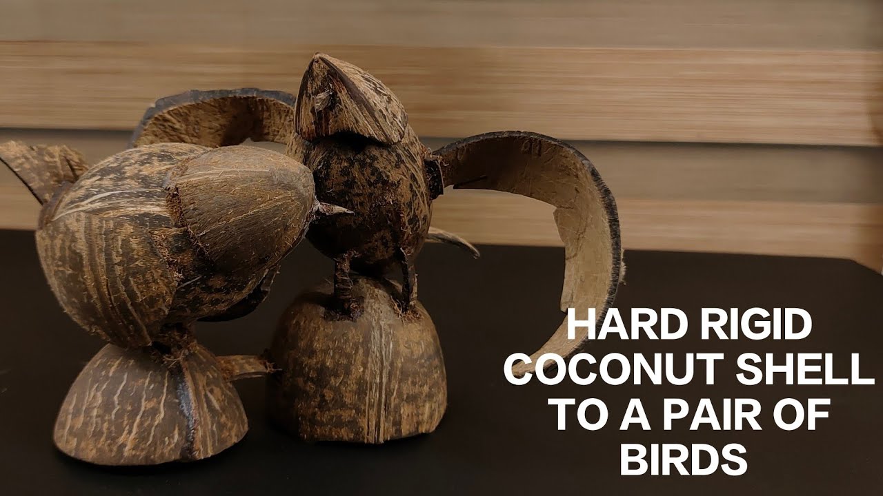 PAIR OF BIRDS USING COCONUT SHELL - HAND MADE 🤩