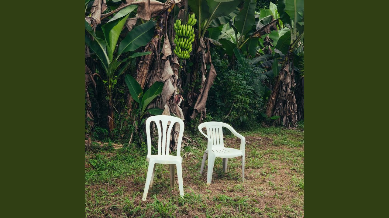 VOY A LLeVARTE PA PR