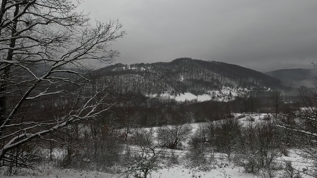 Heti egy kötelező. A beszélő pohár
