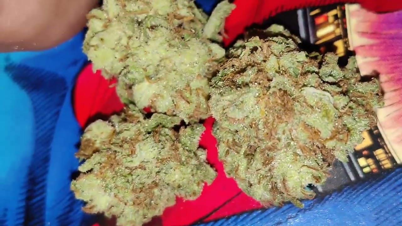 Blue Raspberry 