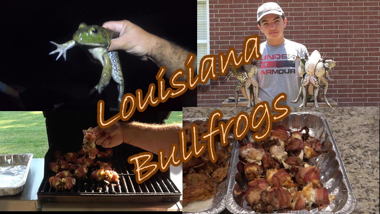 Catch Clean Cook Big Louisiana Bullfrogs!  Cajun Bacon Wrapped Frog Legs + Net Ninja Tutorial!
