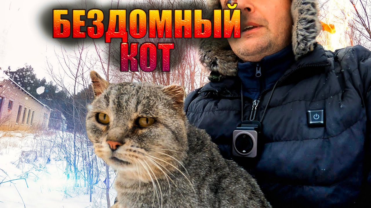 Пристроил бездомного кота в добрые руки 😺