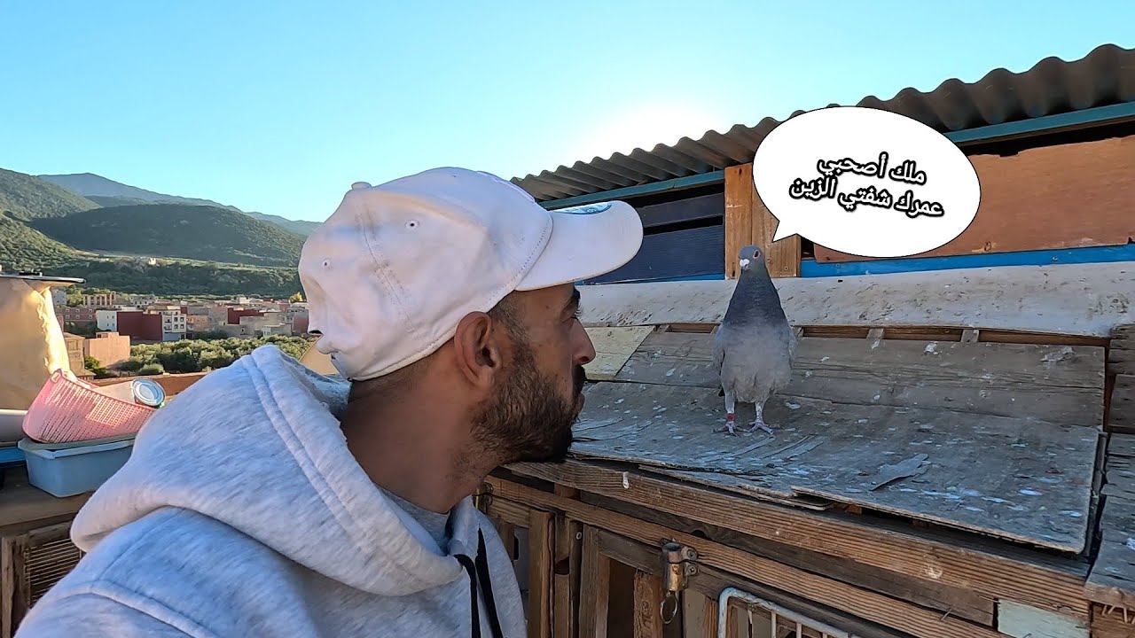 نتائج الطيران الحر+ 40 دقيقة+👀👀 صراع الصقر والغراب 🐦‍⬛🐦‍🔥