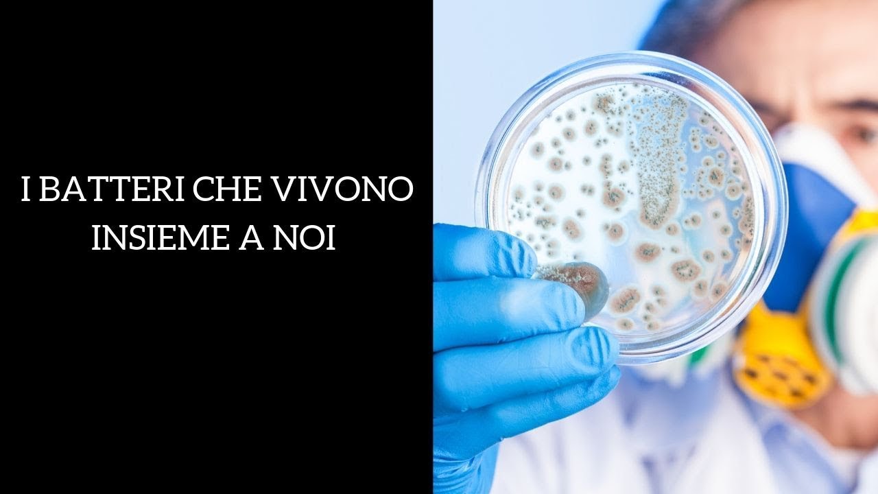 I batteri che vivono intorno a noi ogni giorno