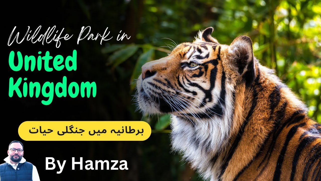 Wildlife Park in UK. #britishpakistanicommunity #museum #pakistan #newvlog #history #nationalmuseum 