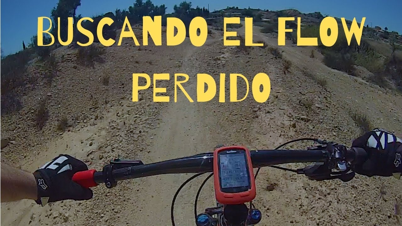 BUSCANDO EL FLOW PERDIDO