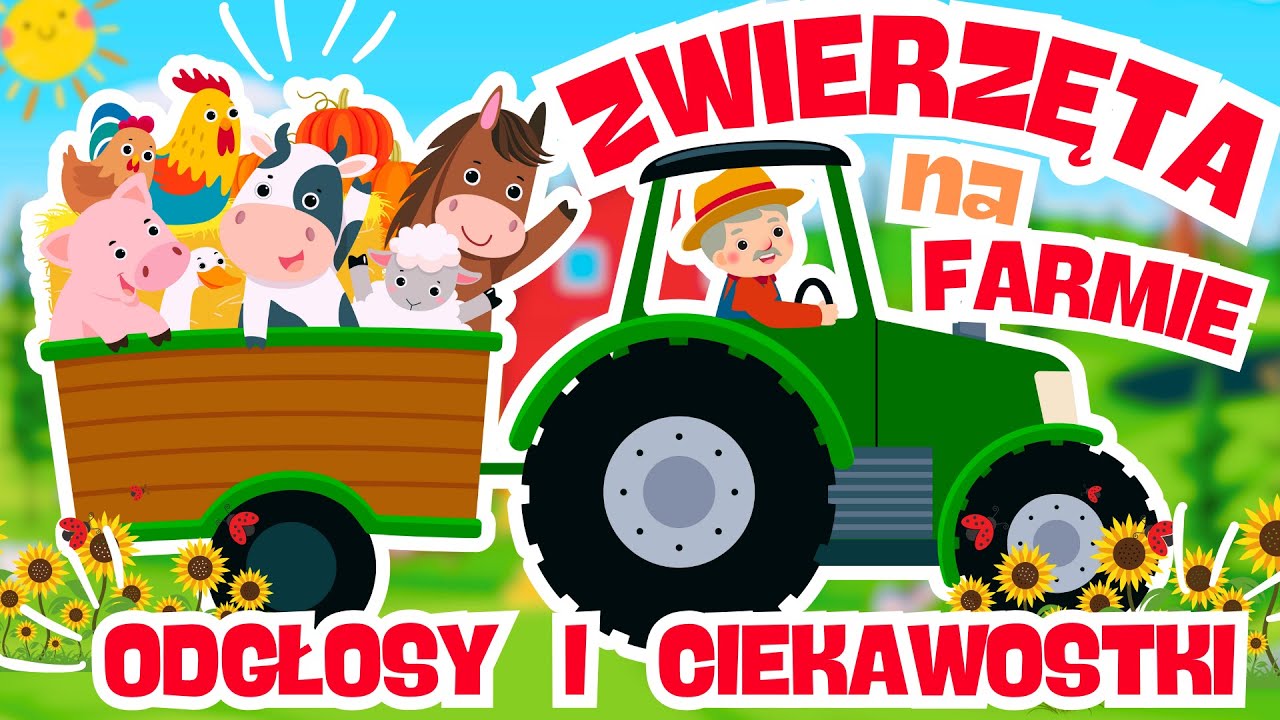 Poznaj zwierzęta na farmie! Odgłosy, ciekawostki I Edukacyjny film dla dzieci Zwierzęta na wsi PL
