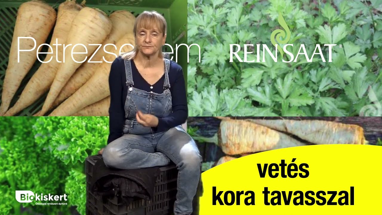 Petrezselyem fajt&aacute;k biotermeszt&eacute;sre