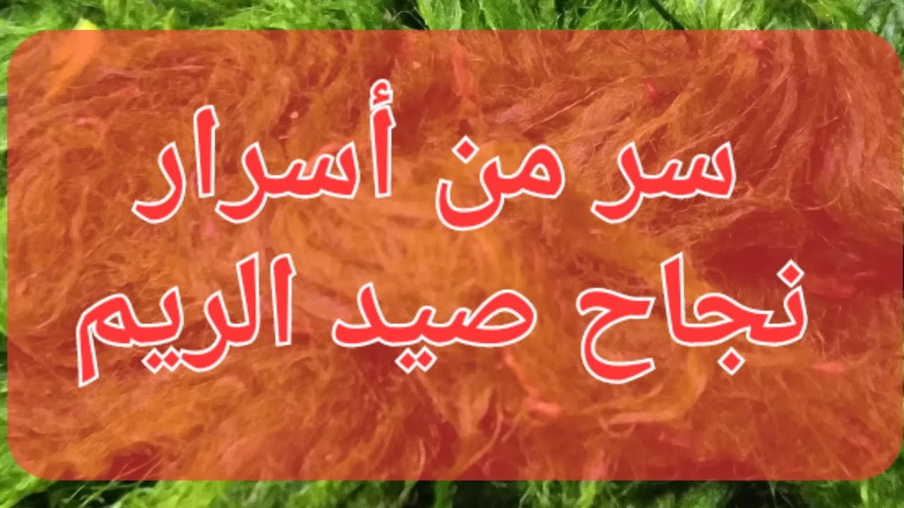 شاهد أساسيات الصيد بالريم بجميع انواعه لنجاح رحله الصيد(أسرار الصيد)