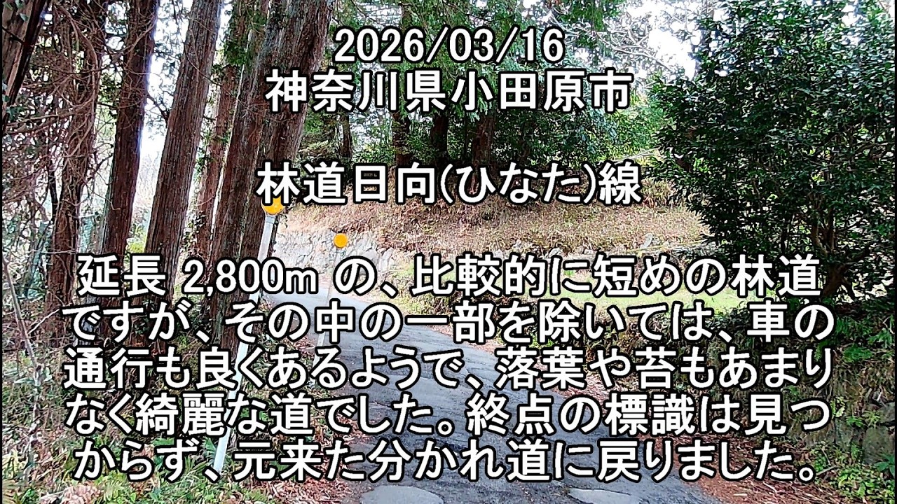 #神奈川県 #小田原市 #林道日向(ひなた)線 　　　           #Forestroad　2026/03/16 #vstrom250sx #Vストローム250SX #林道 #バイク #日向線