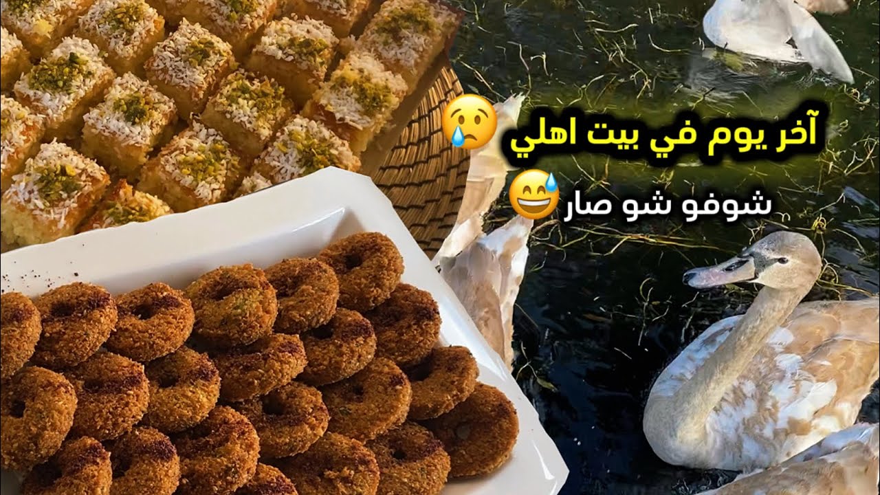 آخر يوم في بيت اهلي💖 احلا مشوار على حديقة البط😍 شوفو شو صار هنيك..😅