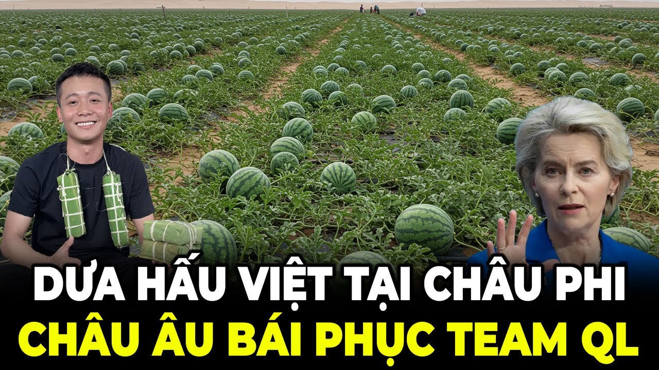 Dưa Hấu Việt 