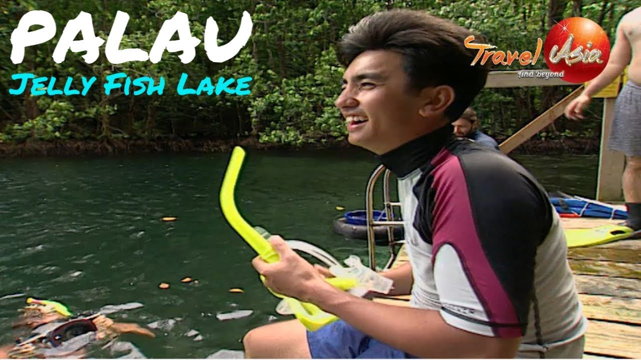Micronesia | Palau | Diving the Jelly Fish Lake