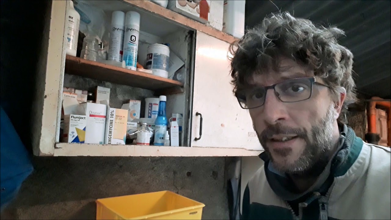 Utilisation et gestion des médicaments pour mes vaches.