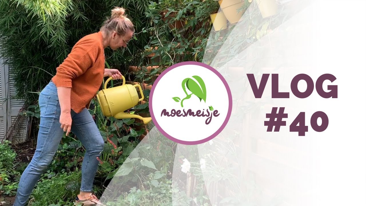 MOESTUIN VLOG #40 | Naaktslakken bestrijden met aaltjes, onkruid wieden, oogsten, zaaiklaar maken
