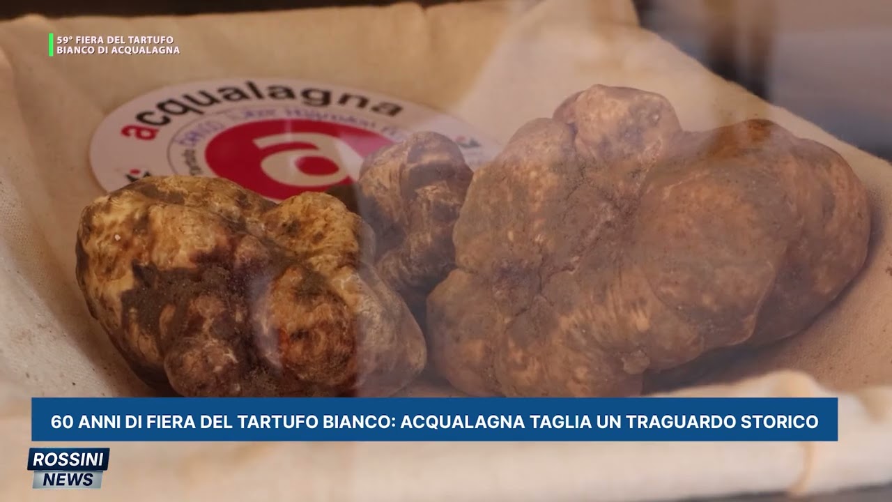 60 ANNI DI FIERA DEL TARTUFO BIANCO ACQUALAGNA TAGLIA UN TRAGUARDO STORICO