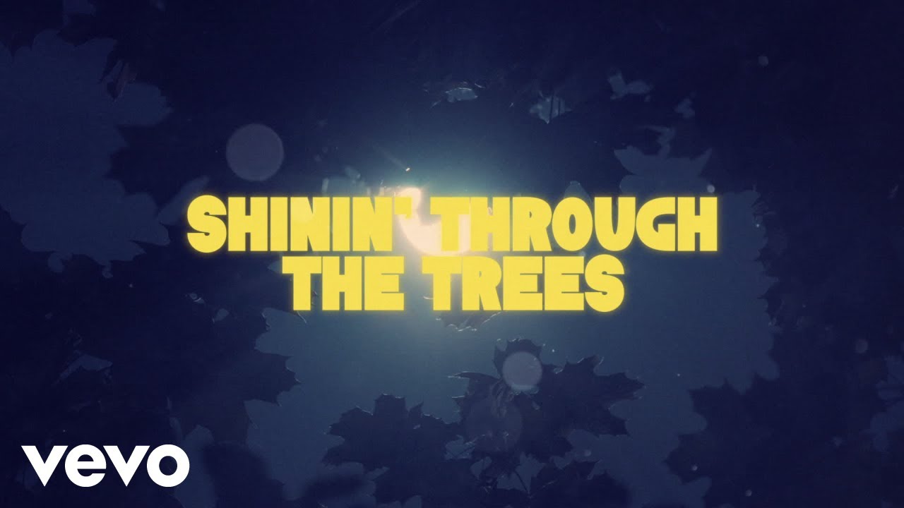 Niko Moon - FISHIN' IN THE DARK (Lyric Video)