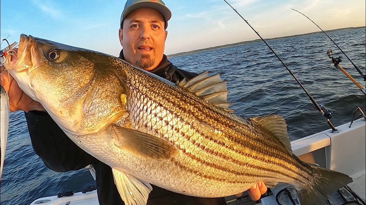 Striper fishing EXPOSED! Catching Bait to Catching Stripers. Where to fish. How to fish and WHY!
