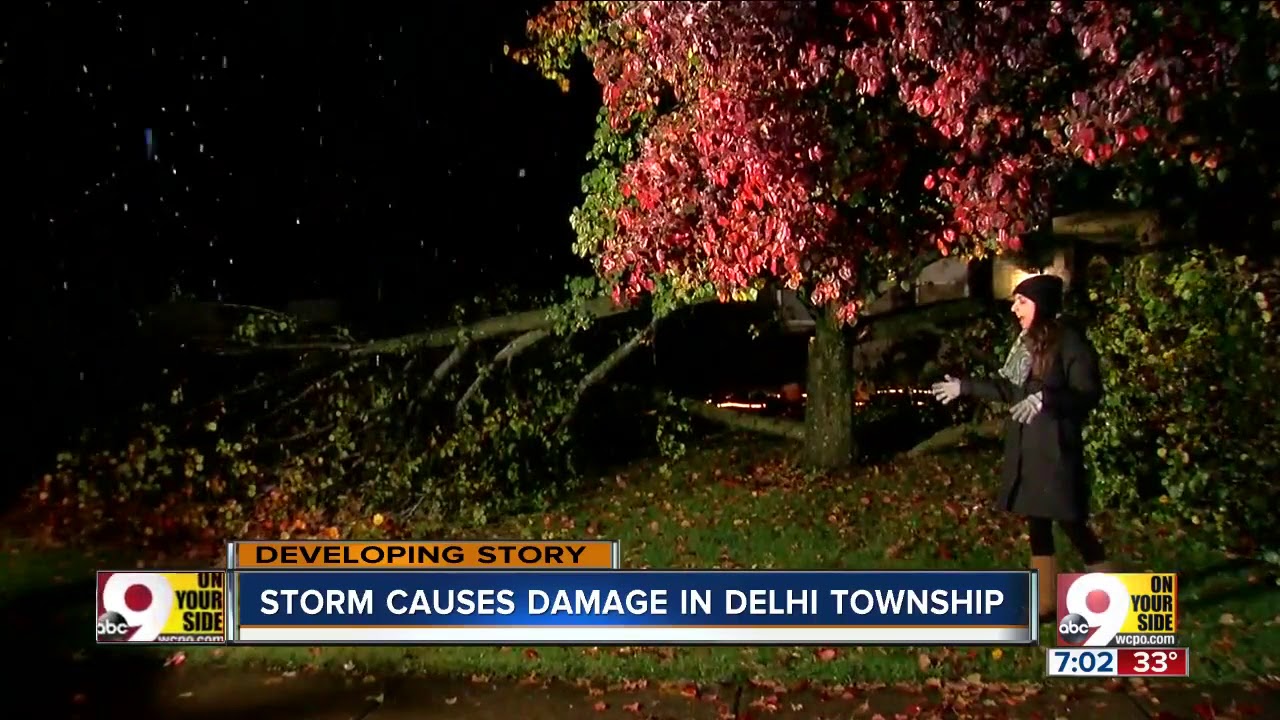 Storm downs trees, power lines in Delhi