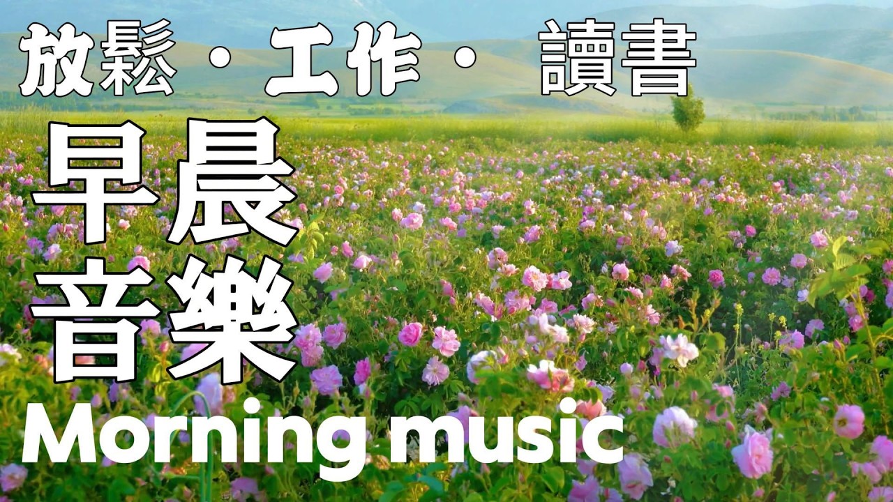 晨間春日暖陽輕音樂｜春天的旋律鋼琴音樂1小時，無廣告，安靜療癒，適合讀書、寫作、健身、冥想全場景