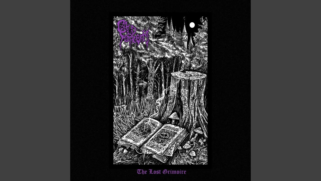 To The Infinity Of The Forest