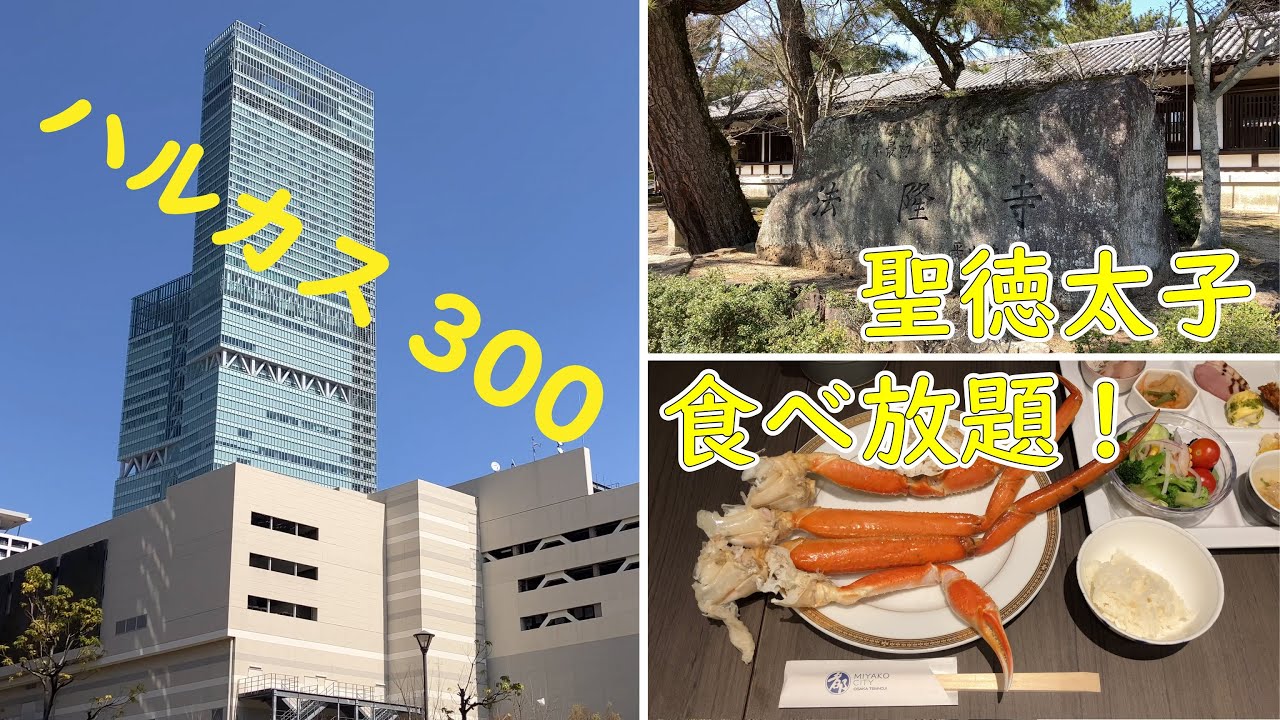 【絶景・食べ放題】あべのハルカス・法隆寺・都シティ天王寺