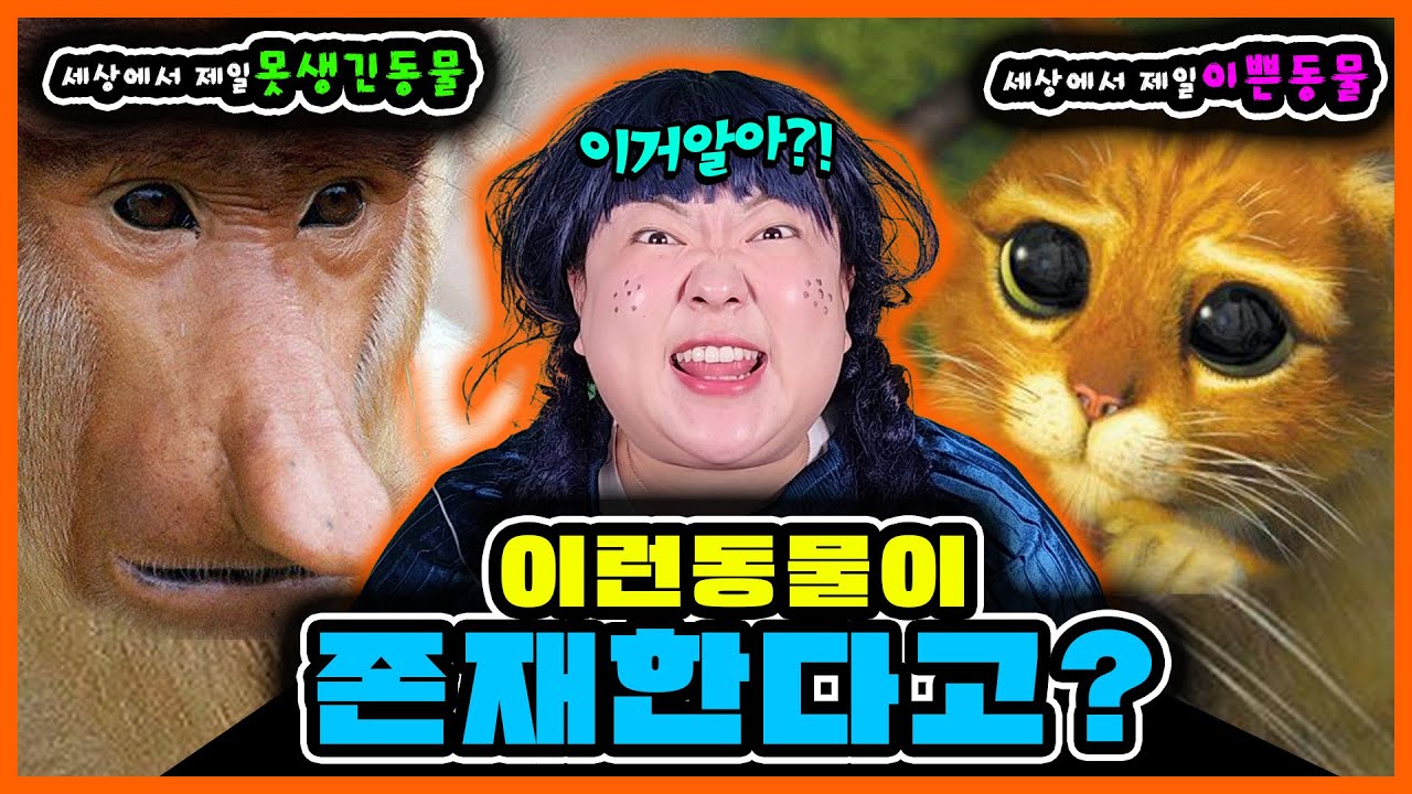 [이거알아-동물]세상에서 제일 못생긴 동물🐸과 세상에서 가장 이쁜 동물🦋 ?! ㅋㅋㅋ 고양이가 사람의 영혼을 빨아들인다고?