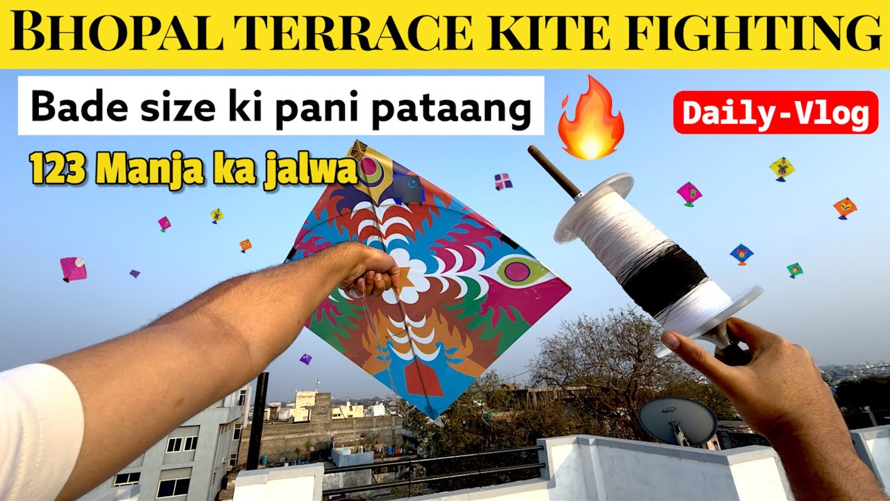 Bade size ki Pani ki pataang | Rooftop kite fighting | Terrace kite fighting | Bhopal kite flying 