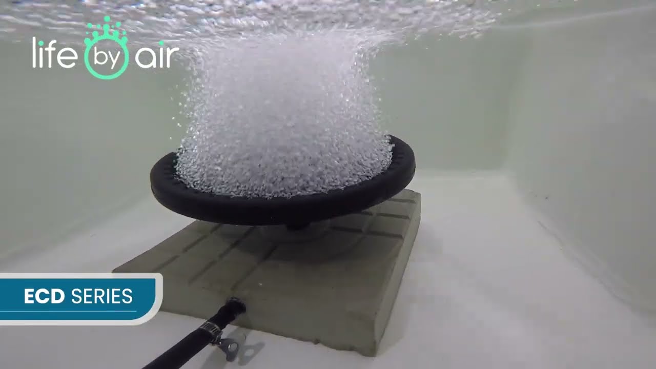 SSI ECD SERIES | Fine Bubble Air Disc Diffuser | Aeration for aquaculture  and aquariums