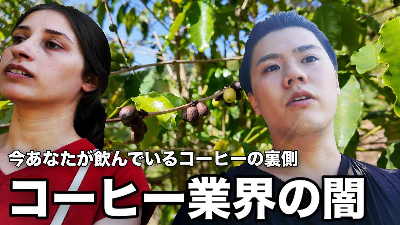 ジャマイカのコーヒー農園でコーヒー業界の驚愕の闇を見た🇯🇲
