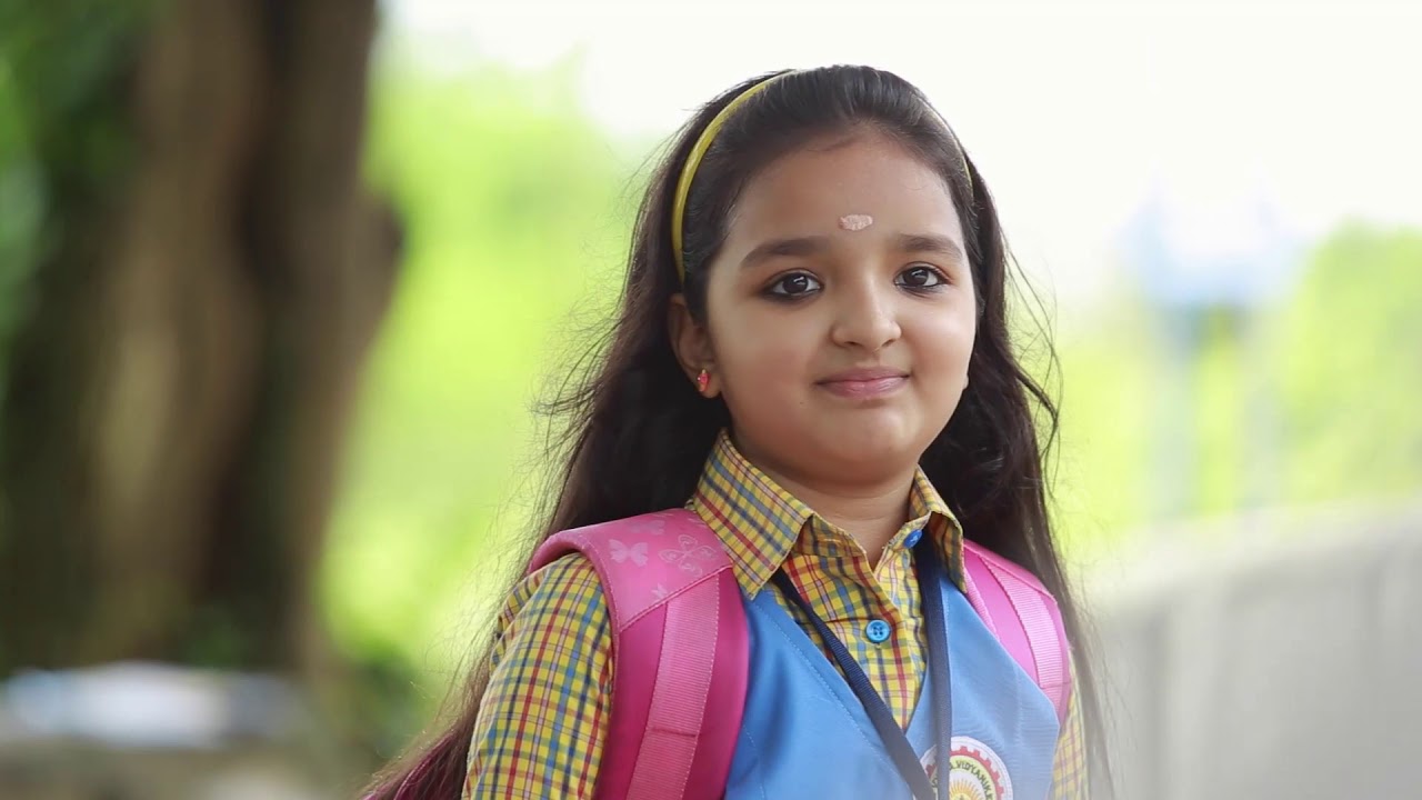 Sree Vyasa vidyanikethan,Kappur