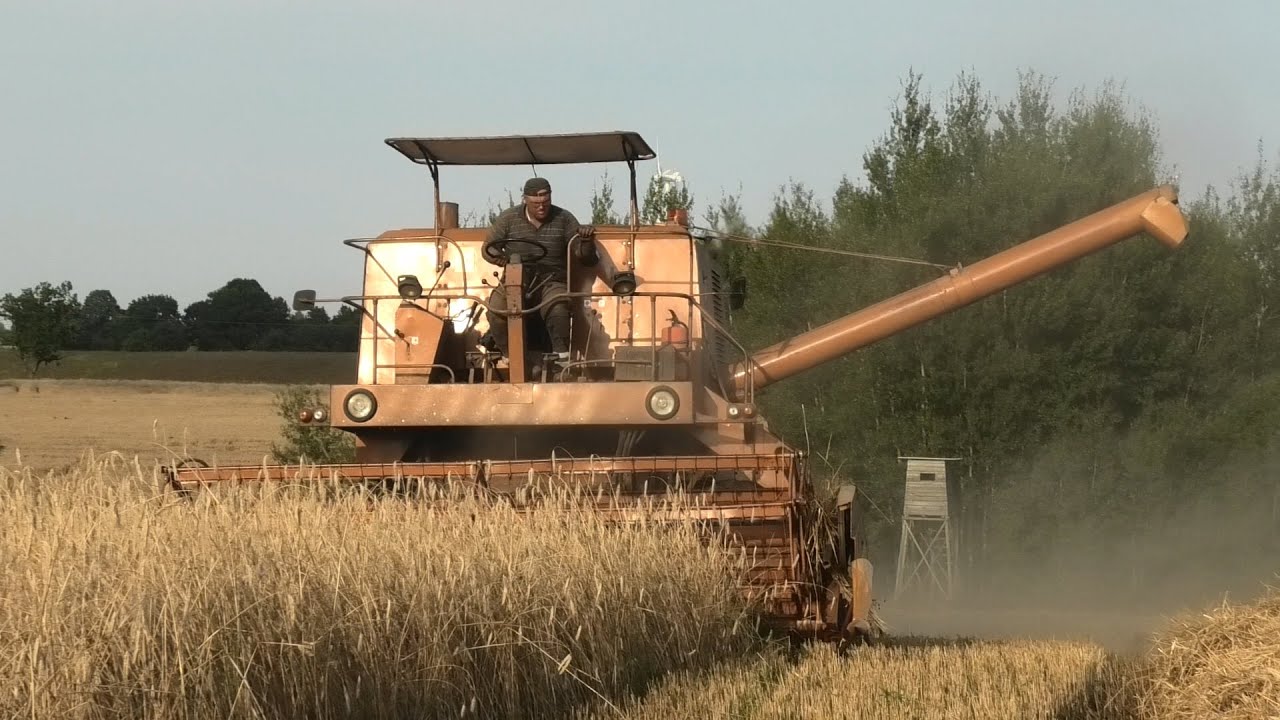Bizon miodowy z pomocnikiem John Deere 2266 Extra
