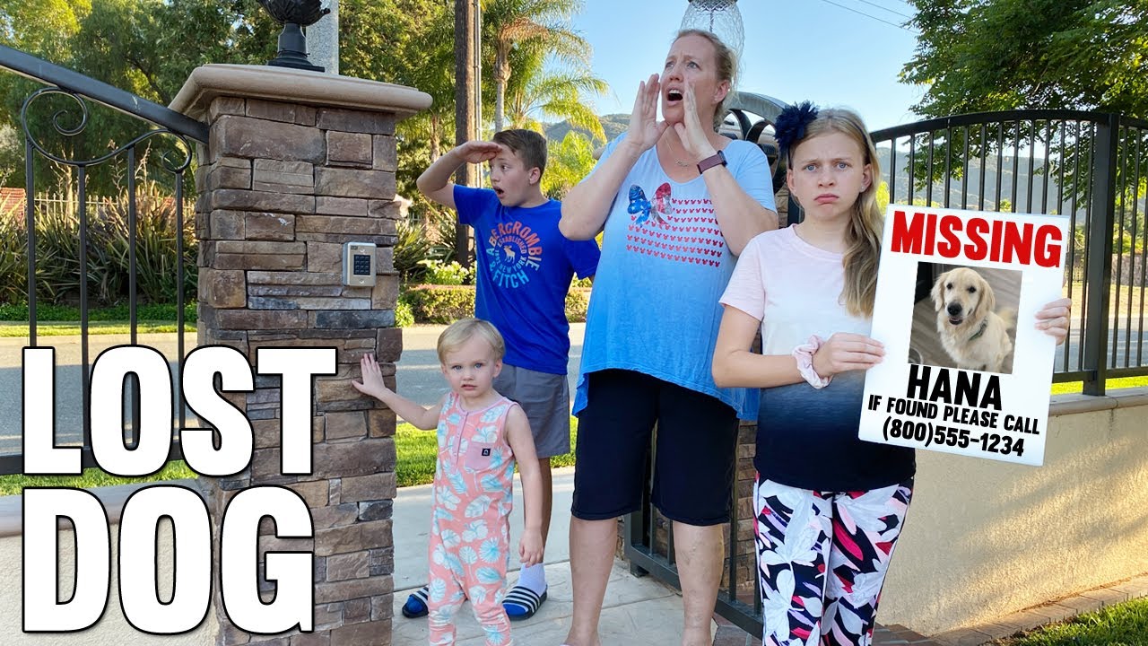 We Lost Our Dog on 4th of July! || Mommy Monday