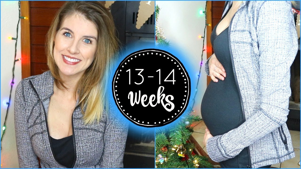13-14 Week Pregnancy Update | 2nd Trimester & Gender Reveal Plans