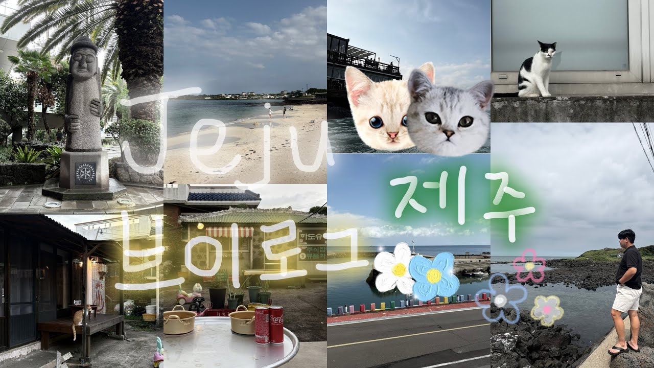 벌초 핑계로 떠난 제주🇰🇷 | 済州旅行🇰🇷 [KR/JPN SUB]