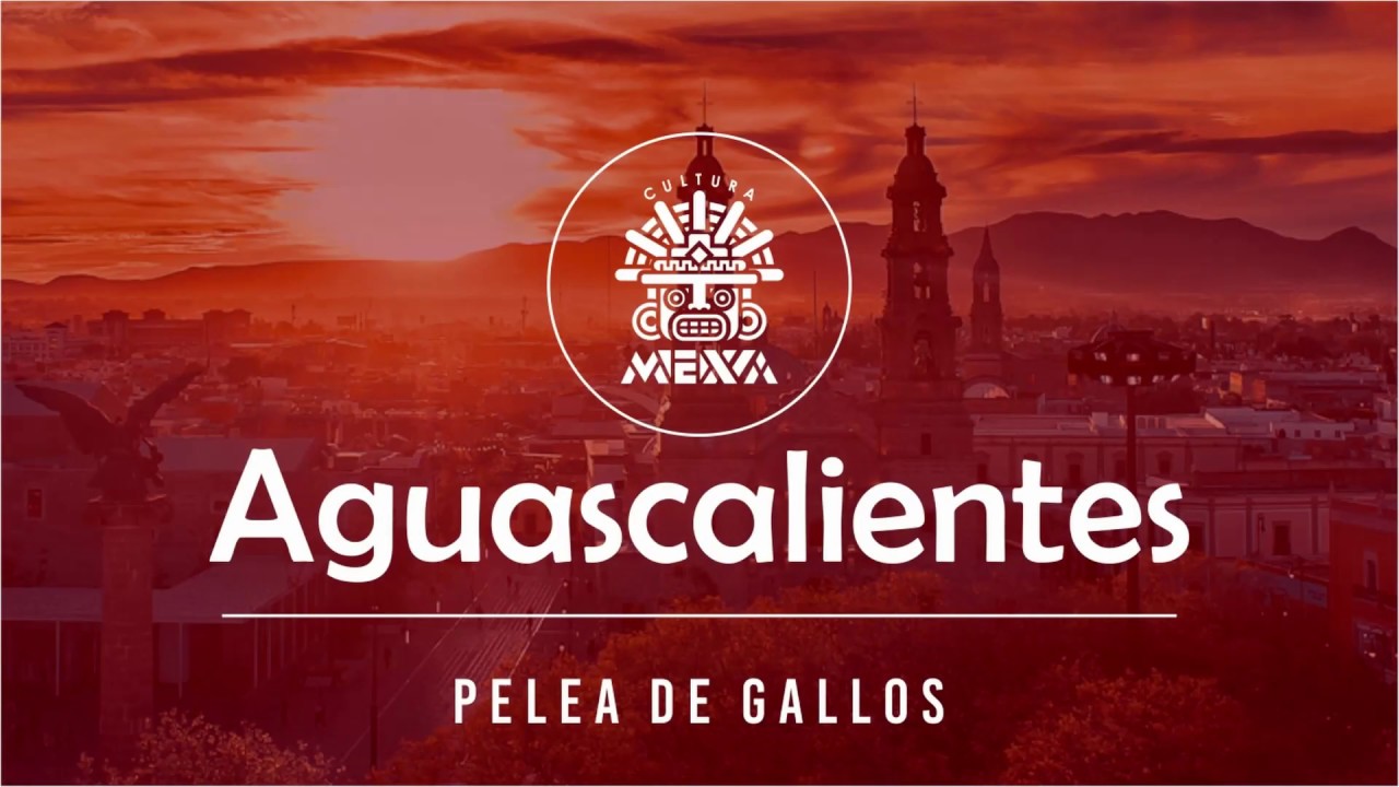 La Pelea de Gallos - Aguascalientes | EL CANCIONERO | #CulturaMexa