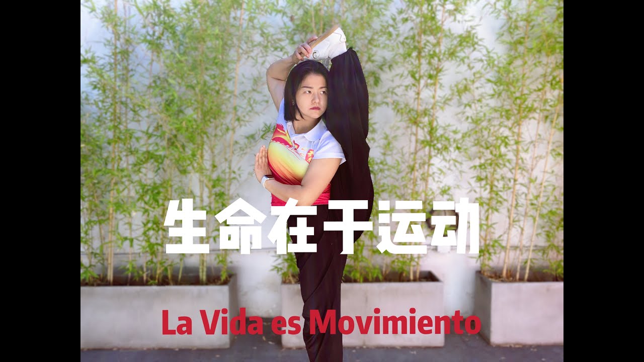 Wushu Kung Fu 247 Patada de Costado con Caminata 上步侧踢腿