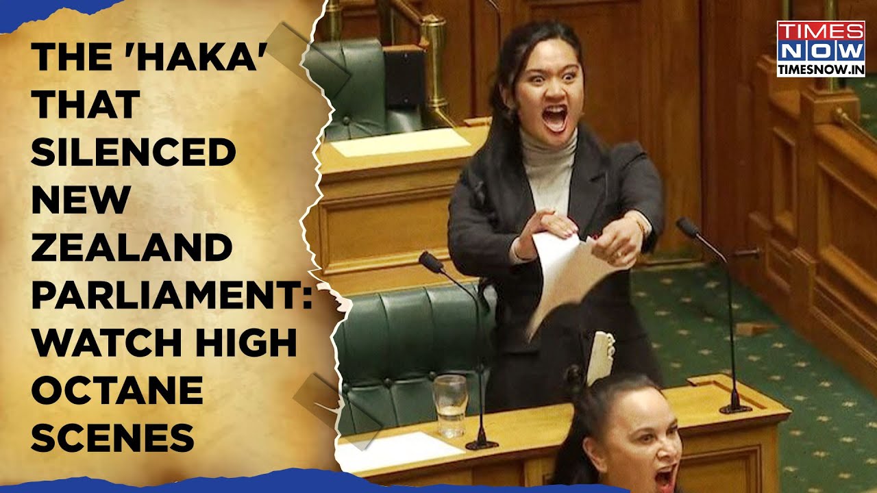 Haka Stuns New Zealand Parliament: Watch Youngest MP Rip Bill On Cam | What Is This Maori Tradition?