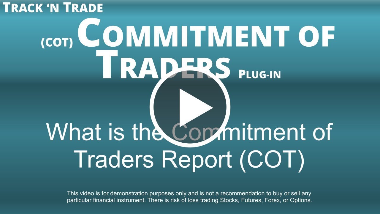 What is the Commitment of Traders