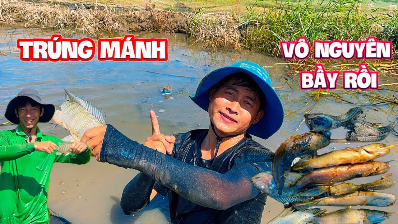Cả Team Mò Cá Tay Không Trúng Mánh Ngay Bầy Cá Lóc Khủng | HoàiPhong TV