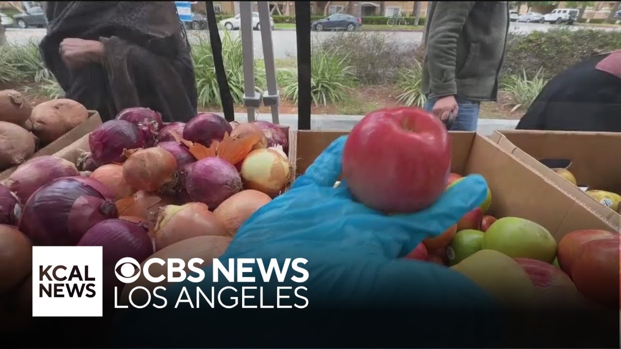 How Nourish L.A. is helping families get healthy food for free