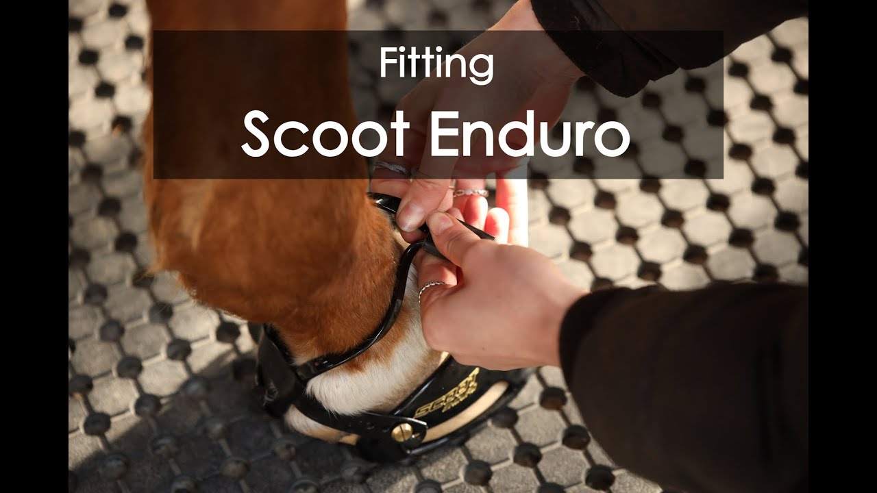 How to fit your new Scoot Enduros to your horse