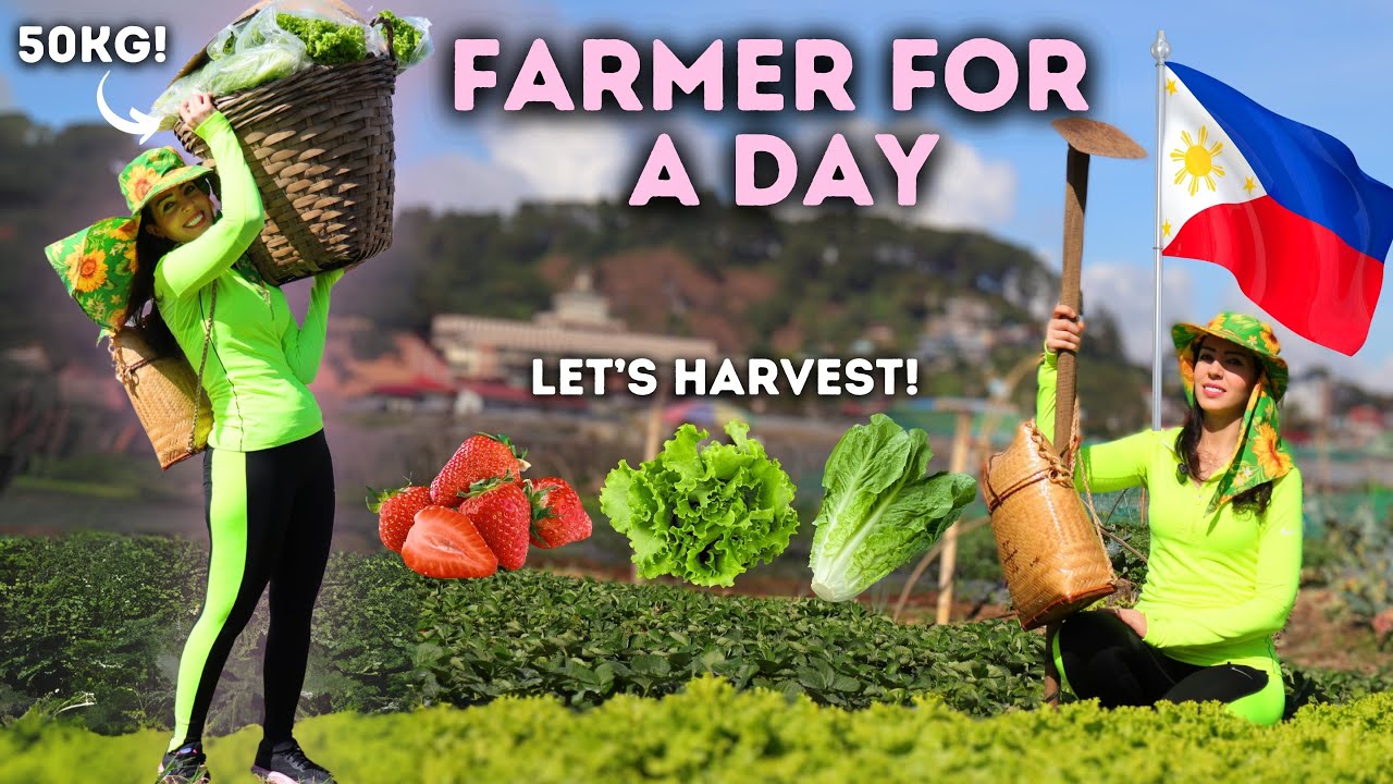 Day in the life As a  FARMER in The PHILIPPINES 🇵🇭