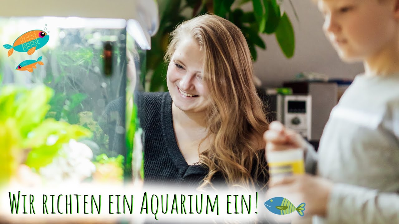 Wir bekommen ein Aquarium! | Einrichtung & Entwicklung