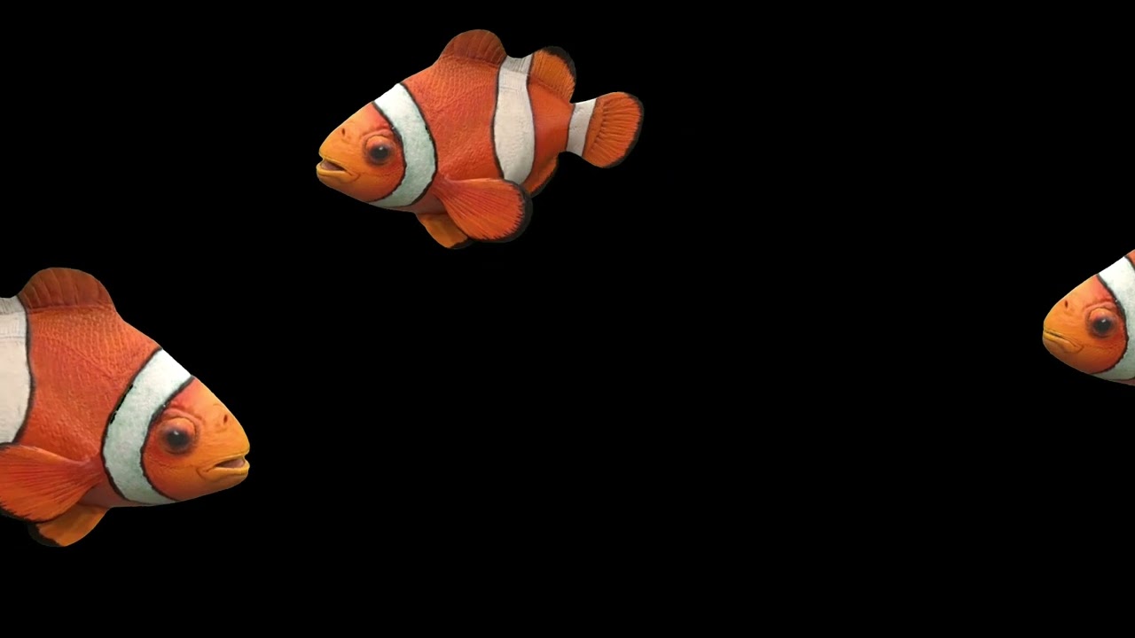 Ikan Badut Untuk Hologram