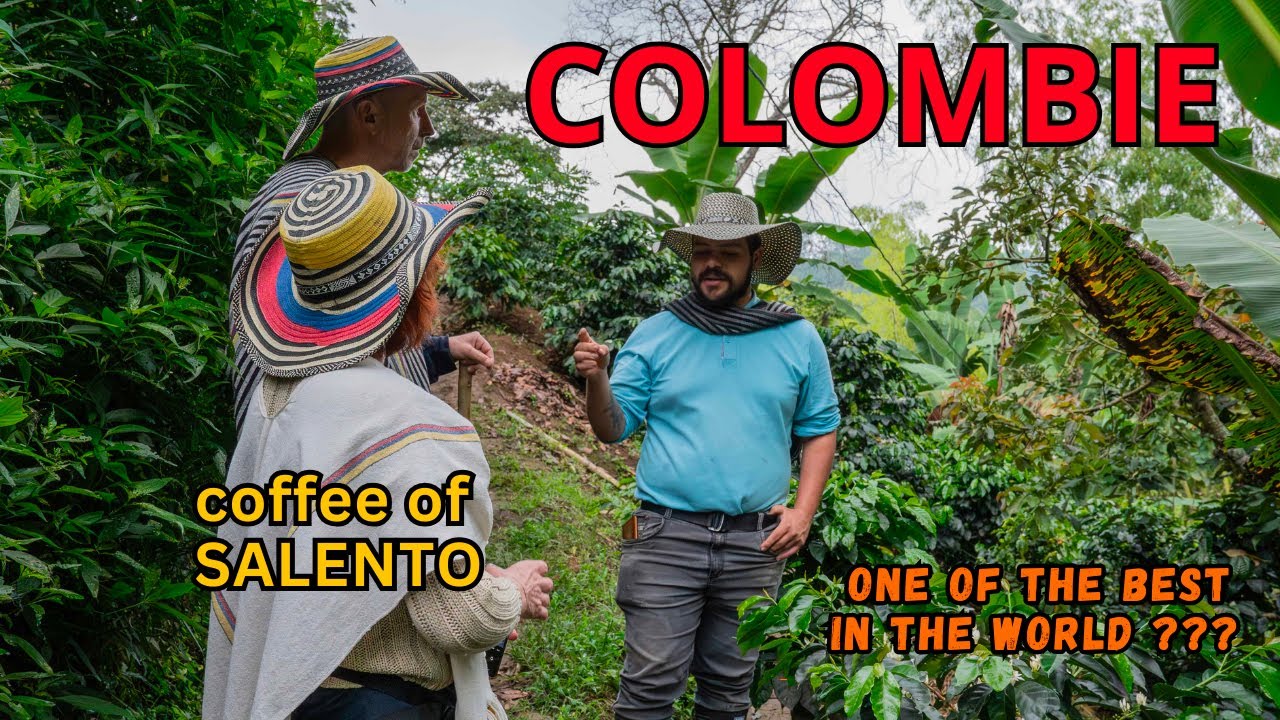 4 semaines en Colombie . 2éme épisode : Salento et la culture du café